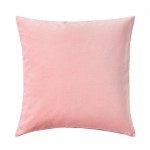 Pink Cushion 