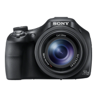 Digital Cameras